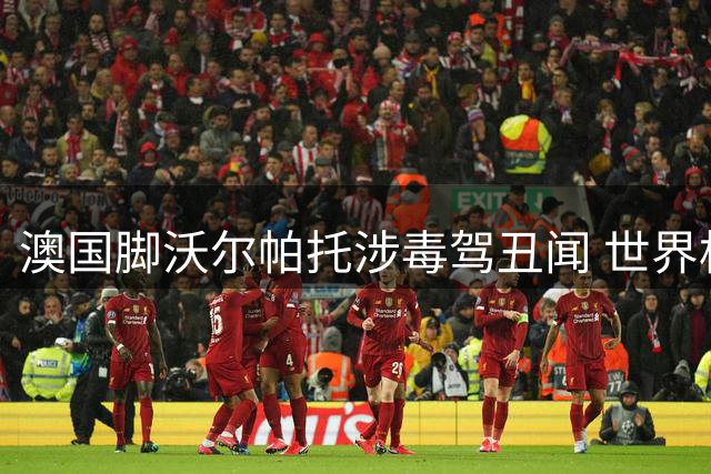 澳国脚沃尔帕托涉毒驾丑闻 世界杯功臣面临双重指控