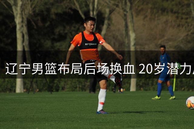 辽宁男篮布局后场换血 20岁潜力后卫引多队哄抢